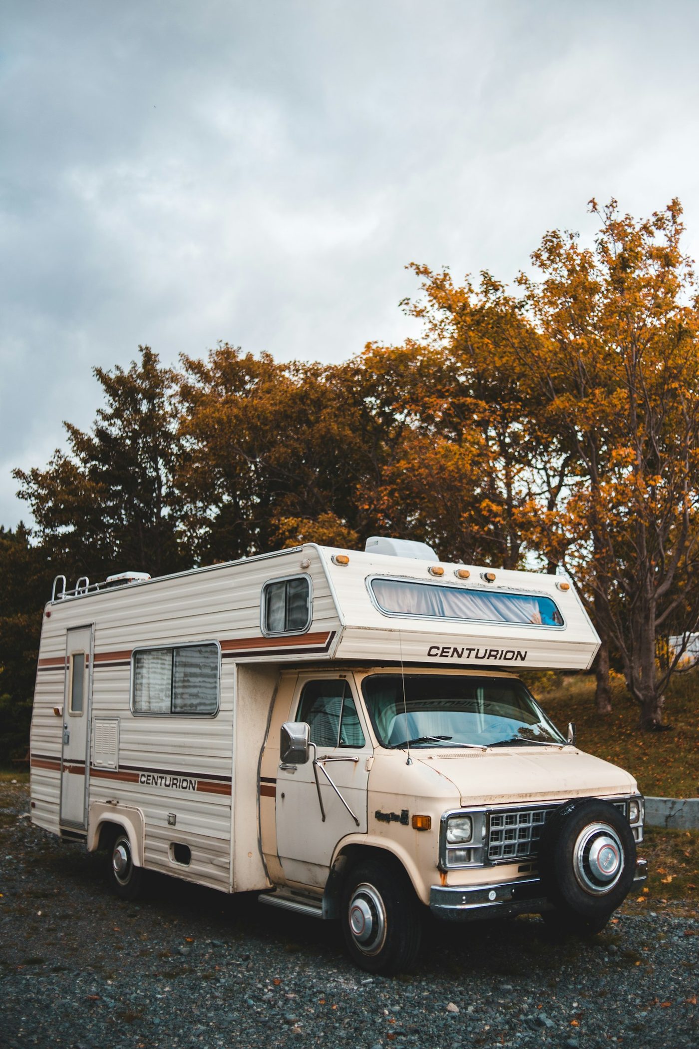 Motorhome parked among trees